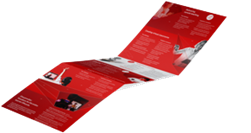 Vodafone Internacionalização via E-Commerce